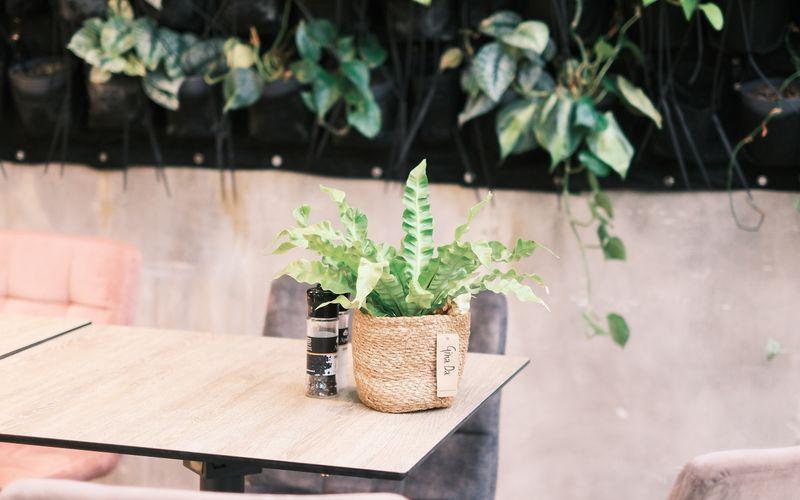 indoor cafe seating area with a green vertical garden wall behind tables